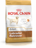 Royal Canin kuivtoit koerale Labrador Retriever Adult 12kg Poultry, Rice