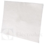 Electrolux mootori filter EF1