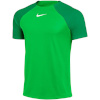 Nike Team T-särk meestele DF Adacemy Pro SS Top K roheline DH9225 329 , suurus S