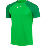 Nike Team T-särk meestele DF Adacemy Pro SS Top K roheline DH9225 329 , suurus S