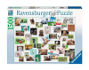 Ravensburger pusle Funny Pets 1500-osaline