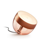 Philips valgusti Hue Iris Portable lamp, Copper Special Edition