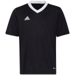 Adidas Teamwear T-särk lastele Entrada 22 must Jersey H57497 116cm