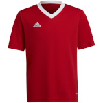 Adidas Teamwear T-särk lastele Entrada 22 Jersey punane H57496 152cm