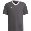 Adidas Teamwear T-särk lastele Entrada 22 Jersey hall H57499 164cm