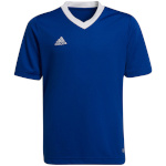 Adidas Teamwear T-särk lastele Entrada 22 Jersey sinine HG3948 152cm