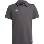 Adidas Teamwear T-särk lastele Entrada 22 Polo hall H57485 suurus 164cm