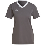 Adidas Teamwear T-särk naistele Entrada 22 Jersey hall H59848, suurus XL