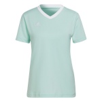 Adidas Teamwear T-särk naistele Entrada 22 Jersey mündiroheline HC5076 , suurus XS