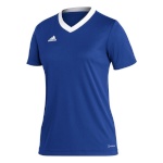 Adidas Teamwear T-särk naistele Entrada 22 Jersey sinine HG3947 , suurus M