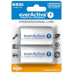 everActive aku R20/D NiMH 1 0000 mAh 2 tk.