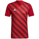 Adidas Teamwear T-särk meestele Entrada 22 Graphic Jersey punane-karmiinpunane HB0572 , suurus M