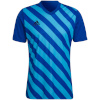 Adidas Teamwear T-särk meestele Entrada 22 Graphic Jersey sinine-sinine HF0116 , suurus M