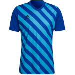 Adidas Teamwear T-särk meestele Entrada 22 Graphic Jersey sinine-sinine HF0116 , suurus L