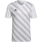 Adidas Teamwear T-särk meestele Entrada 22 Graphic Jersey valge-hall HF0129 , suurus M