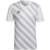 Adidas Teamwear T-särk meestele Entrada 22 Graphic Jersey valge-hall HF0129 , suurus 2XL