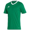 Adidas Teamwear T-särk meestele Entrada 22 Jersey roheline HI2123 , suurus 2XL