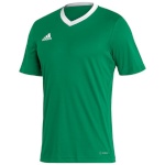 Adidas Teamwear T-särk meestele Entrada 22 Jersey roheline HI2123 , suurus L