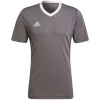 Adidas Teamwear T-särk meestele Entrada 22 Jersey hall HE1574 , suurus M