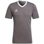 Adidas Teamwear T-särk meestele Entrada 22 Jersey hall HE1574 , suurus M