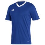 Adidas Teamwear T-särk meestele Entrada 22 Jersey sinine HG6283 , suurus S