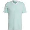 Adidas Teamwear T-särk meestele Entrada 22 Jersey mündiroheline HC5073 , suurus XL