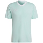 Adidas Teamwear T-särk meestele Entrada 22 Jersey mündiroheline HC5073 , suurus XL