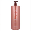 Risfort šampoon Color Care 69873 (1000ml)