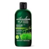 Naturalium dušigeel Super Food Wheatgrass Energizing (500ml)