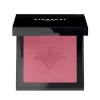 Stendhal põsepuna Blush Illuminateur Nº 303 Rose Marrakech (8g)