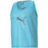 Puma T-särk meestele Bib sinine 657251 41 , suurus 2XL