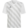 Adidas Teamwear T-särk lastele Entrada 22 Graphic Jersey valge-hall HF0120 128cm