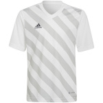 Adidas Teamwear T-särk lastele Entrada 22 Graphic Jersey valge-hall HF0120 128cm