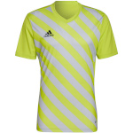 Adidas Teamwear T-särk meestele Entrada 22 Graphic Jersey kollane-hall HF0118 , suurus S