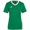 Adidas Teamwear T-särk naistele Entrada 22 Jersey roheline HI2124 , suurus M