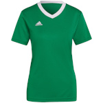 Adidas Teamwear T-särk naistele Entrada 22 Jersey roheline HI2124 , suurus L