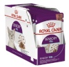 Royal Canin kassitoit Sensory Feel Gravy - wet Food for Cats - 12 x 85 g