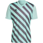 Adidas T-särk meestele Entrada 22 Graphic Jersey mündiroheline HF0119 , suurus XL