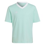 Adidas Teamwear T-särk lastele Entrada 22 Jersey mündiroheline HC5078 152cm