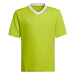 Adidas Teamwear T-särk lastele Entrada 22 Jersey laimiroheline HC5079 116cm