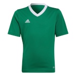 Adidas Teamwear T-särk lastele Entrada 22 Jersey roheline HI2126 164cm