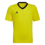 Adidas Teamwear T-särk lastele Entrada 22 Jersey kollane HI2127 164cm