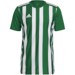 Adidas Teamwear T-särk meestele Striped 21 Jersey roheline-valge H35644 , suurus XS