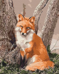 Symag numbrimaal The Fox in the Forest