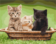 Symag numbrimaal Kittens in the Basket