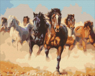 Symag numbrimaal Horses