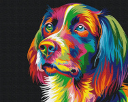 Symag numbrimaal Dog in colors