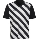 Adidas Teamwear T-särk lastele Entrada 22 Graphic Jersey must-valge HF0123 128cm