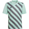 Adidas Teamwear T-särk lastele Entrada 22 Graphic Jersey Miętowo-hall HF0127 164cm