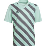 Adidas Teamwear T-särk lastele Entrada 22 Graphic Jersey Miętowo-hall HF0127 116cm